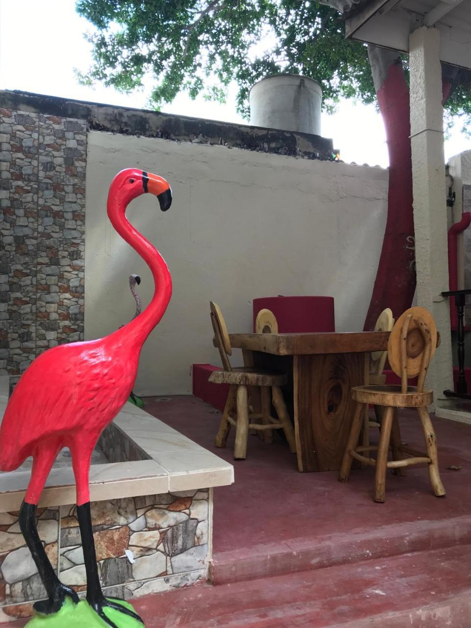 Mi Casa Hostel Riohacha Ngoại thất bức ảnh